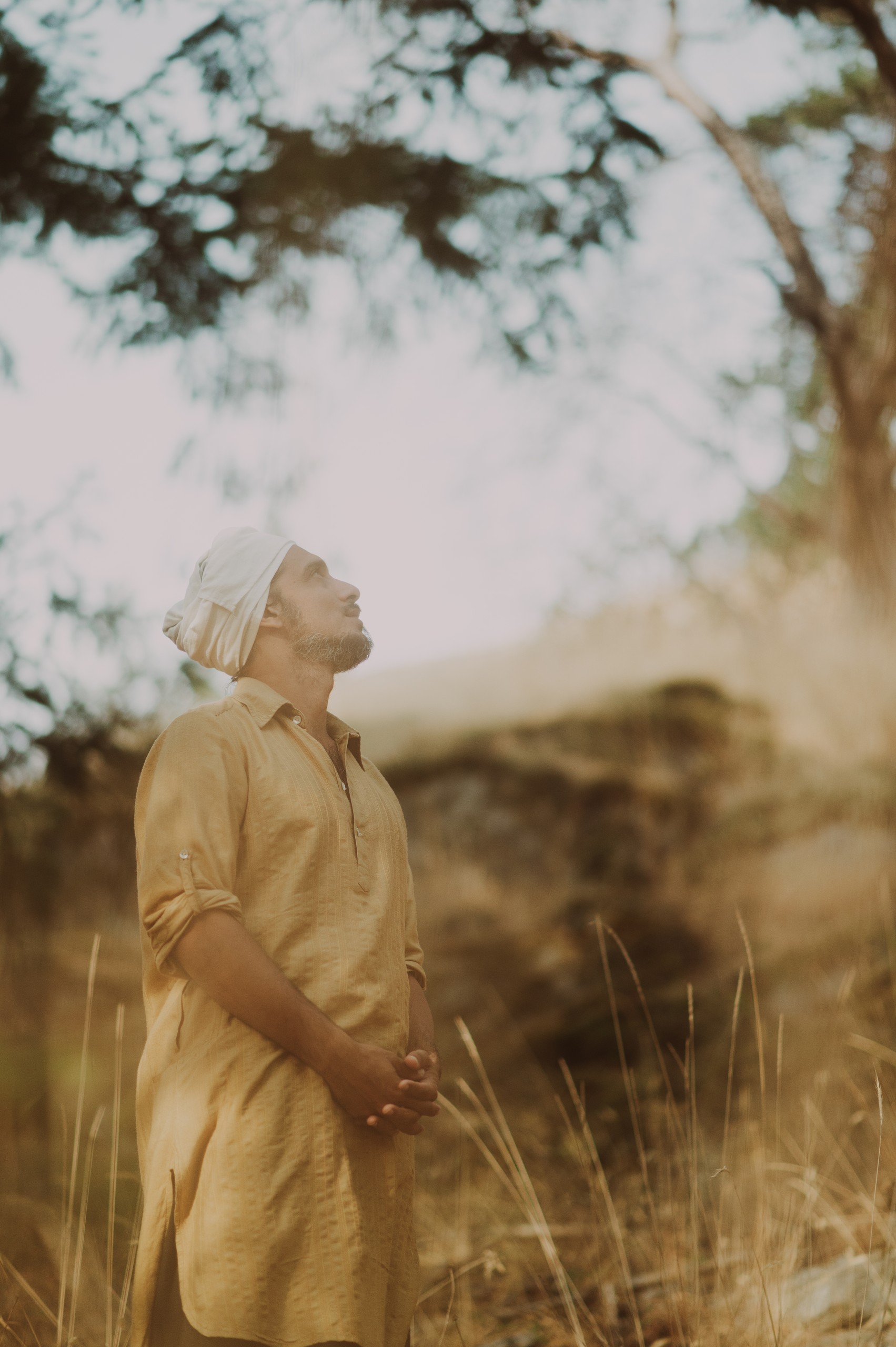 Portrait, golden grass