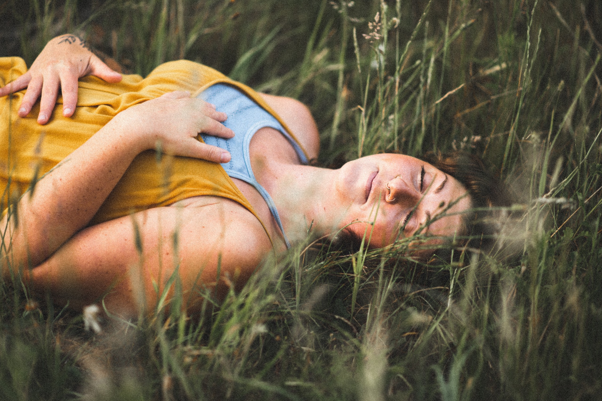 Resting in golden grass