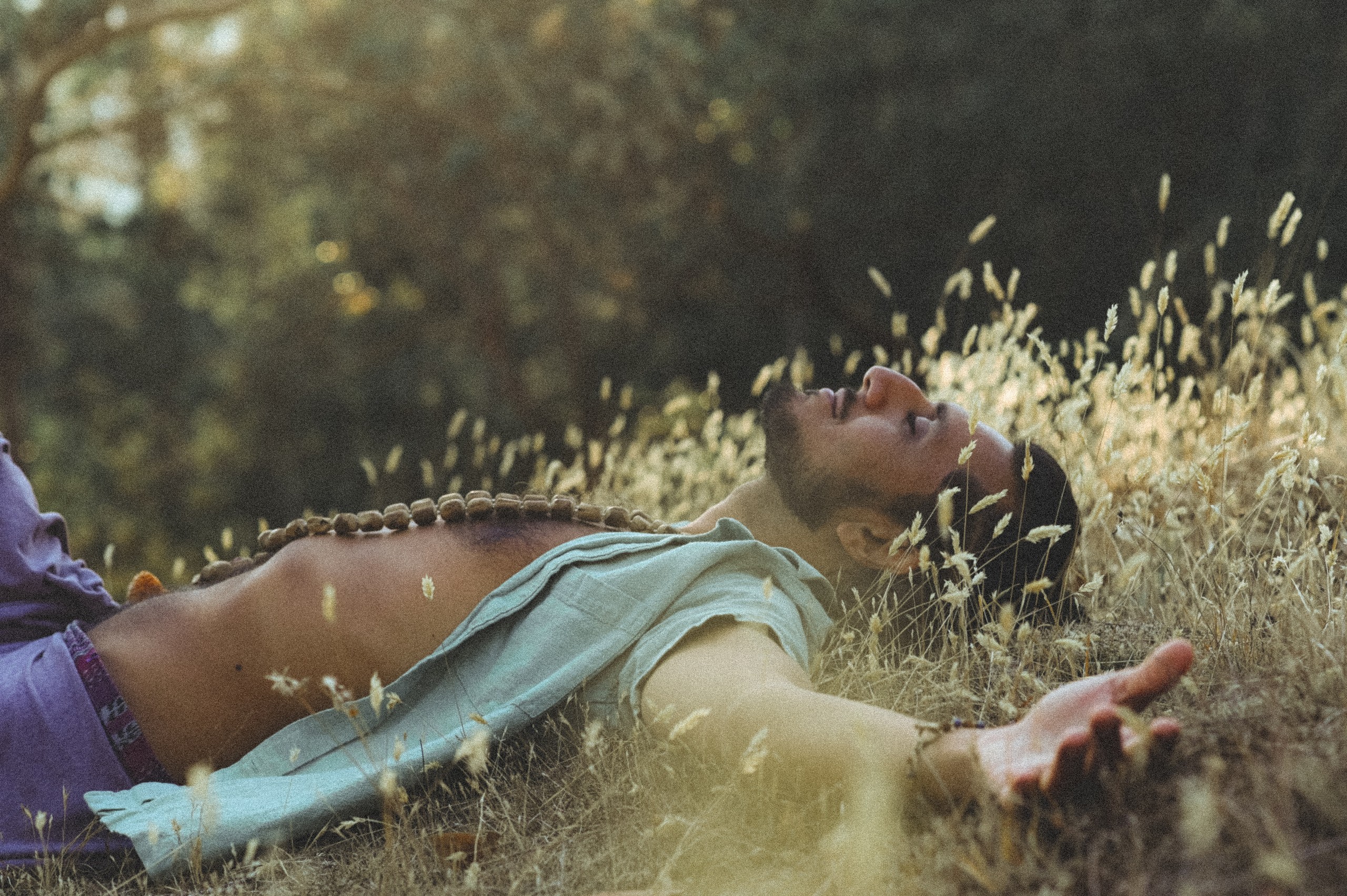 Resting in the grass
